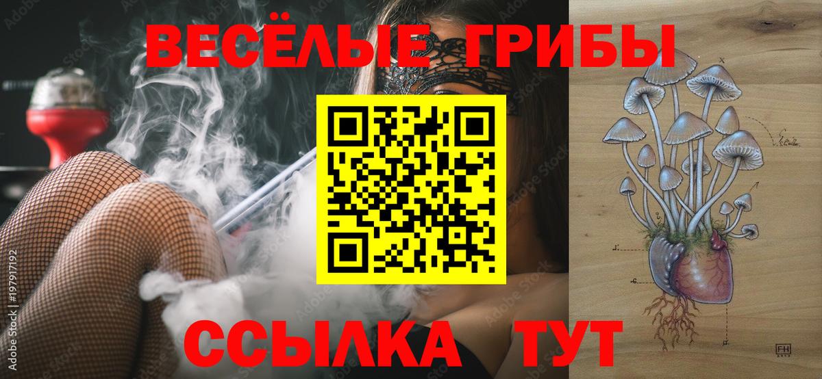 Псилоцибиновые грибы Psilocybine cubensis Южно-Сахалинск