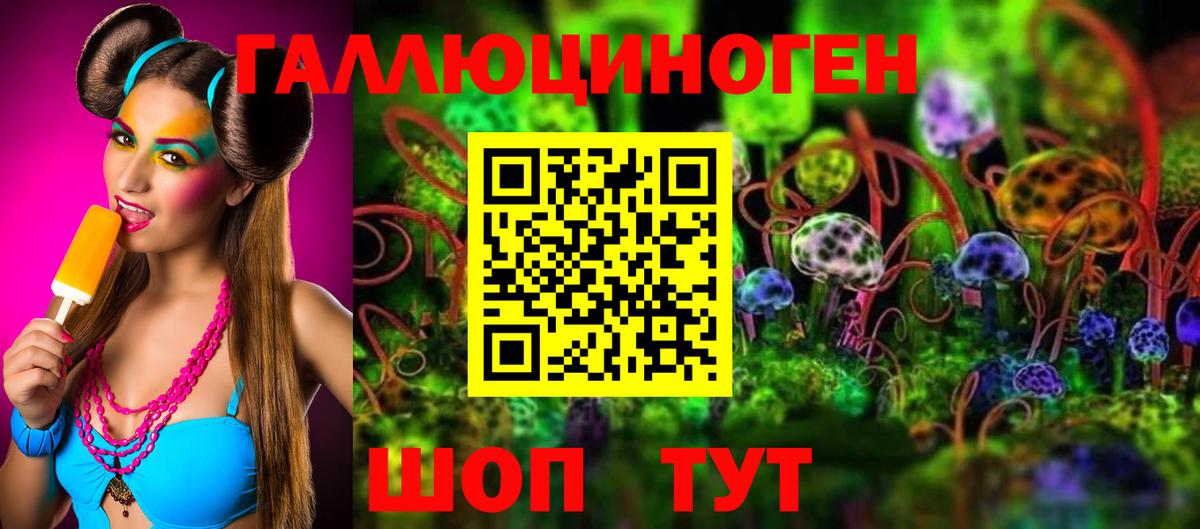 Галлюциногенные грибы GOLDEN TEACHER  Вход с VPN  Южно-Сахалинск 